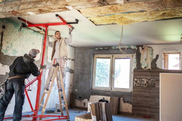 Best Residential Insulation in Walsenburg, CO