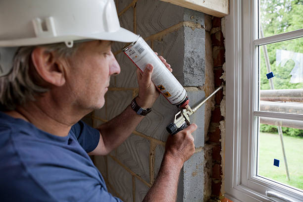 Best Eco-Friendly Insulation in Walsenburg, CO