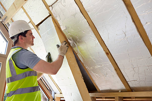 Best Commercial Insulation in Walsenburg, CO